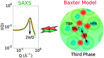 Graphical abstract: Structural aspects of heteropolyacid microemulsions