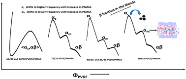 Graphical abstract: Anomalous structural relaxations in PVDF rich blends with PMMA in the presence of surface functionalized CNTs