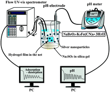 Graphical abstract: Adsorption–desorption oscillations of nanoparticles on a honeycomb-patterned pH-responsive hydrogel surface in a closed reaction system