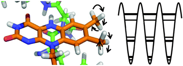 Graphical abstract: Methyl rotors in flavoproteins