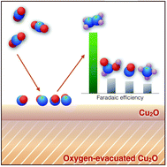 Graphical abstract: Insights into an autonomously formed oxygen-evacuated Cu2O electrode for the selective production of C2H4 from CO2