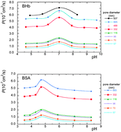 Graphical abstract: Protein diffusion through charged nanopores with different radii at low ionic strength