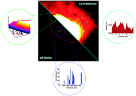 Graphical abstract: Single-molecule quantification of lipotoxic expression of activating transcription factor 3