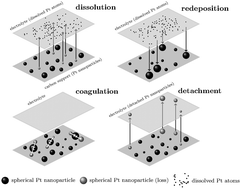 Graphical abstract: Theoretical analysis of electrochemical surface-area loss in supported nanoparticle catalysts