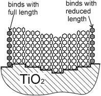 Graphical abstract: Island shape anisotropy in organic thin film growth induced by ion-beam irradiated rippled surfaces