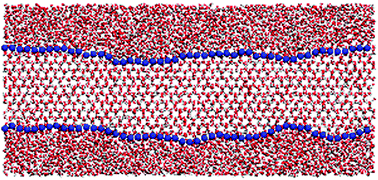 Graphical abstract: A study of the ice–water interface using the TIP4P/2005 water model