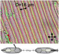 Graphical abstract: Dielectric, calorimetric and mesophase properties of 1′′-(2′,4-difluorobiphenyl-4′-yloxy)-9′′-(4-cyanobiphenyl-4′-yloxy) nonane: an odd liquid crystal dimer with a monotropic mesophase having the characteristics of a twist-bend nematic phase