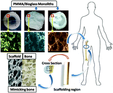 Graphical abstract: Analysis of solvent induced porous PMMA–Bioglass monoliths by the phase separation method – mechanical and in vitro biocompatible studies