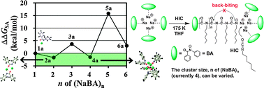 Graphical abstract: Dual function of a living polymerization initiator through the formation of a chain-end-protecting cluster: density functional theory calculation