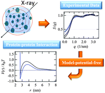 Graphical abstract: Model-potential-free analysis of small angle scattering of proteins in solution: insights into solvent effects on protein–protein interaction