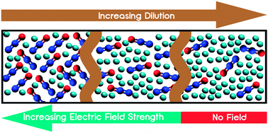 Graphical abstract: Investigations into the nature of spontelectrics: nitrous oxide diluted in xenon