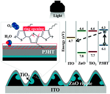 Graphical abstract: Oxidation behavior of P3HT layers on bare and TiO2-covered ZnO ripple structures evaluated by photoelectron spectroscopy