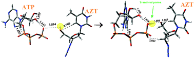 Graphical abstract: Structure and conformational analysis of the anti-HIV reverse transcriptase inhibitor AZT using MP2 and DFT methods. Differences with the natural nucleoside thymidine. Simulation of the 1st phosphorylation step with ATP