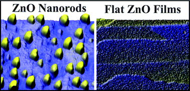 Graphical abstract: Autocatalytic growth of ZnO nanorods from flat Au(111)-supported ZnO films