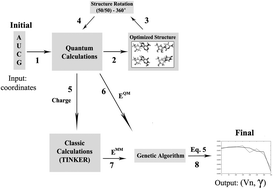 Graphical abstract: Genetic algorithms coupled with quantum mechanics for refinement of force fields for RNA simulation: a case study of glycosidic torsions in the canonical ribonucleosides