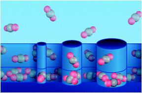 Graphical abstract: Calculation of the chemical potential and the activity coefficient of two layers of CO2 adsorbed on a graphite surface