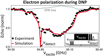 Graphical abstract: The electron depolarization during dynamic nuclear polarization: measurements and simulations