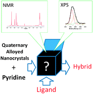 Graphical abstract: Ligand exchange in quaternary alloyed nanocrystals – a spectroscopic study