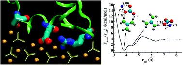 Graphical abstract: Ab initio and metadynamics studies on the role of essential functional groups in biomineralization of calcium carbonate and environmental situations