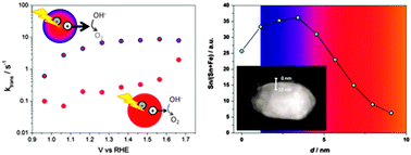 Graphical abstract: Tin doping speeds up hole transfer during light-driven water oxidation at hematite photoanodes