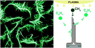 Graphical abstract: Tailoring of the carbon nanowall microstructure by sharp variation of plasma radical composition