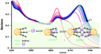 Graphical abstract: Interaction of gold nanoparticles mediated by captopril and S-nitrosocaptopril: the effect of manganese ions in mild acid medium