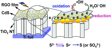 Graphical abstract: Perfect inhibition of CdS photocorrosion by graphene sheltering engineering on TiO2 nanotube array for highly stable photocatalytic activity