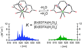 Graphical abstract: A new approach to determination of hydration equilibria constants for the case of [Er(EDTA)(H2O)n]− complexes