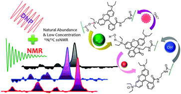 Graphical abstract: Multi-responsive cellulose nanocrystal–rhodamine conjugates: an advanced structure study by solid-state dynamic nuclear polarization (DNP) NMR