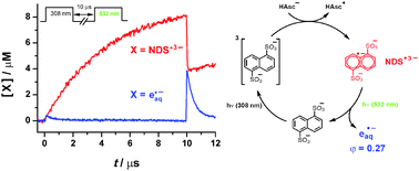 Graphical abstract: Highly efficient green-light ionization of an aryl radical anion: key step in a catalytic cycle of electron formation