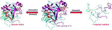 Graphical abstract: A green approach to offset the perturbation action of 1-butyl-3-methylimidazolium iodide on α-chymotrypsin