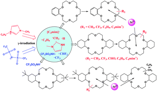 Graphical abstract: Radiolysis of crown ether–ionic liquid systems: identification of radiolytic products and their effect on the removal of Sr2+ from nitric acid