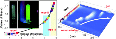 Graphical abstract: Formation and dynamics of “waterproof” photoluminescent complexes of rare earth ions in crowded environment