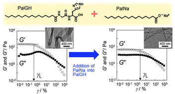 Graphical abstract: Modulation of physical properties of supramolecular hydrogels based on a hydrophobic core