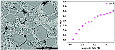 Graphical abstract: Origin of magnetocapacitance in chemically homogeneous and inhomogeneous ferrites