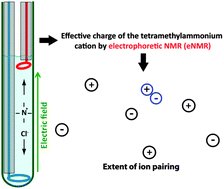 Graphical abstract: Ion association in aqueous and non-aqueous solutions probed by diffusion and electrophoretic NMR