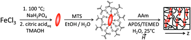 Graphical abstract: Magnetic and geometric anisotropy in particle-crosslinked ferrohydrogels