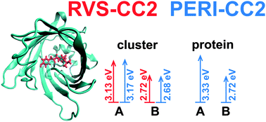 Graphical abstract: Analysis of computational models for an accurate study of electronic excitations in GFP