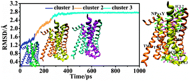 Graphical abstract: Understanding the conformation transition in the activation pathway of β2 adrenergic receptor via a targeted molecular dynamics simulation