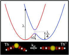 Graphical abstract: Investigation of solvent dynamic effects on the electron self-exchange in two thianthrene couples with large inner reorganization energies