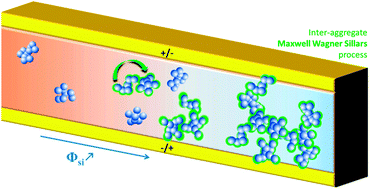 Graphical abstract: A high-temperature dielectric process as a probe of large-scale silica filler structure in simplified industrial nanocomposites