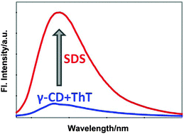 Graphical abstract: An ultrafast molecular rotor based ternary complex in a nanocavity: a potential “turn on” fluorescence sensor for the hydrocarbon chain