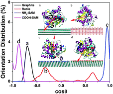 Graphical abstract: Lipase adsorption on different nanomaterials: a multi-scale simulation study