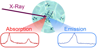 Graphical abstract: Co(iii) protoporphyrin IX chloride in solution: spin-state and metal coordination revealed from resonant inelastic X-ray scattering and electronic structure calculations