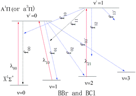 Graphical abstract: The ab initio study of laser cooling of BBr and BCl