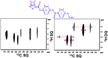 Graphical abstract: Assignment of the 13C NMR spectrum by correlation to dipolar coupled proton-pairs and estimation of order parameters of a thiophene based liquid crystal