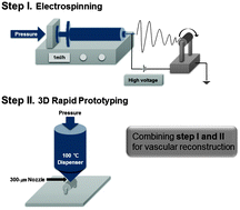 Graphical abstract: Characterization and preparation of bio-tubular scaffolds for fabricating artificial vascular grafts by combining electrospinning and a 3D printing system