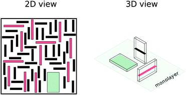 Graphical abstract: Effect of shape biaxiality on the phase behavior of colloidal liquid-crystal monolayers