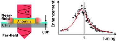 Graphical abstract: Impact of the plasmonic near- and far-field resonance-energy shift on the enhancement of infrared vibrational signals