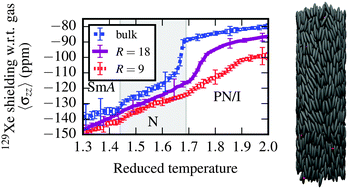 Graphical abstract: Xenon NMR of liquid crystals confined to cylindrical nanocavities: a simulation study